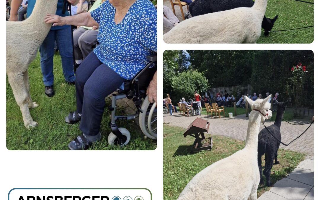 Tierischer Besuch beim ARNSBERGER PFLEGEVERBUND.